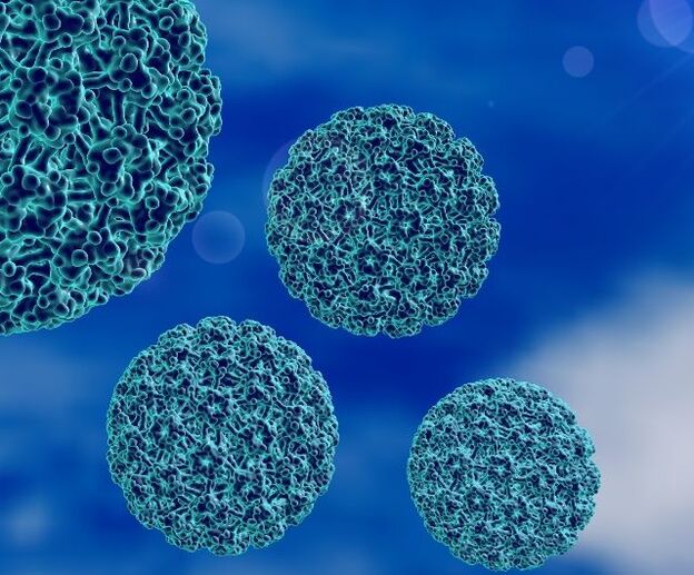 דגם תלת מימד של HPV הגורם ליבלות בעקב